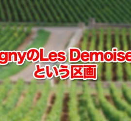 PulignyのLes Demoisellesという区画