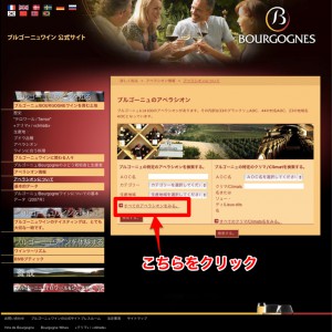 BIVBサイト