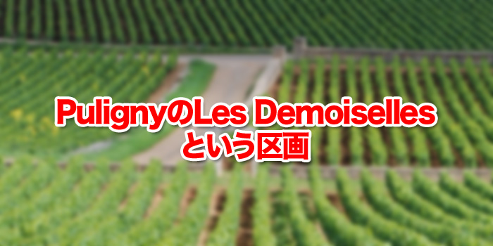 PulignyのLes Demoisellesという区画