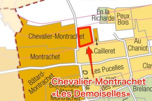 Les Demoisellesのグラン・クリュ部分