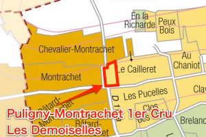 Les Demoisellesのプルミエ・クリュ部分