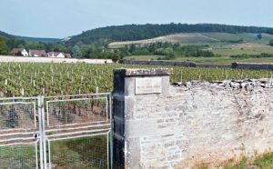 Fixin Clos des Meix Trouhans